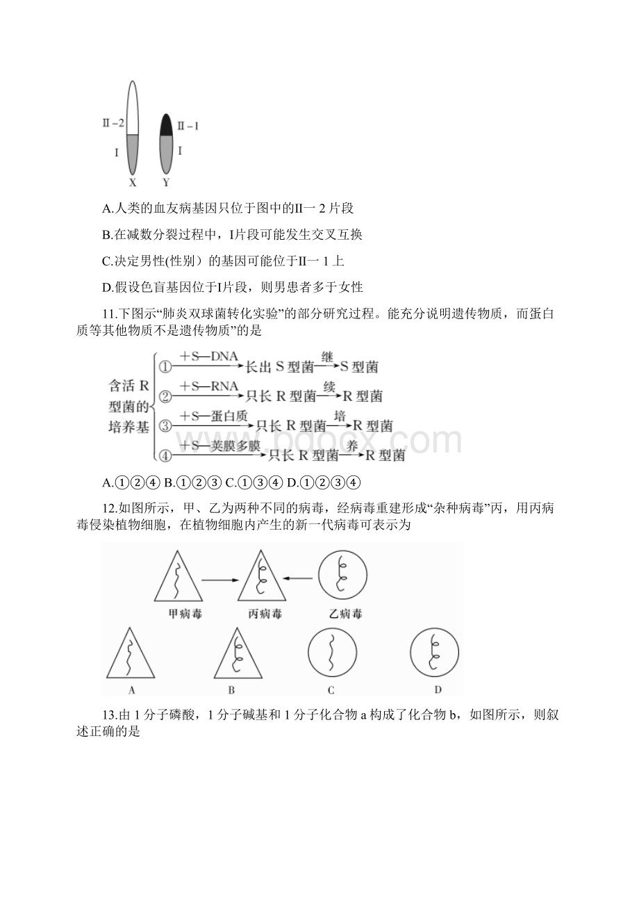 学年湖南省长郡中学高二月考第二次模块检测生物试题文档格式.docx_第3页