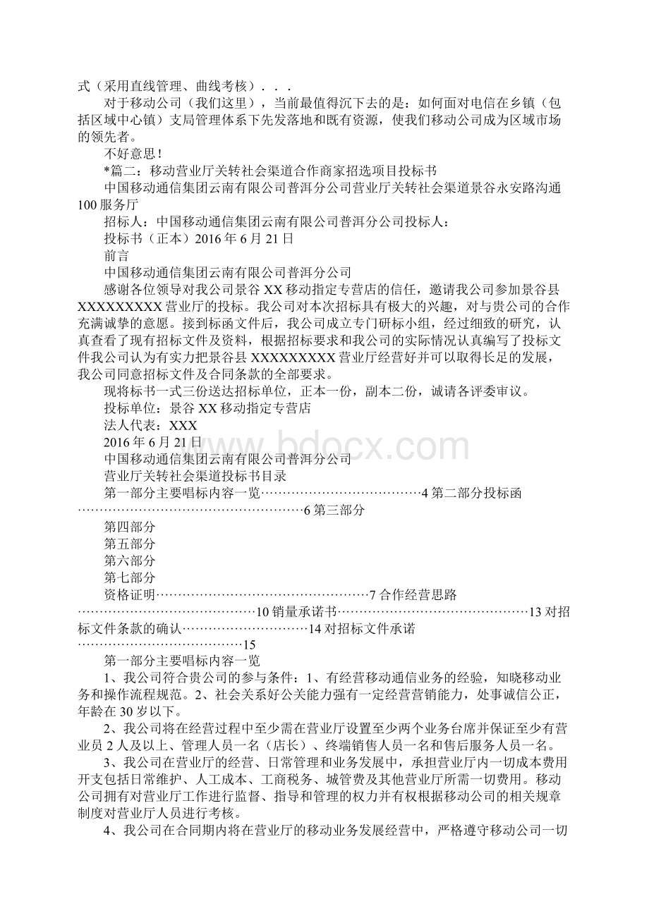 中国移动社会渠道Word下载.docx_第3页