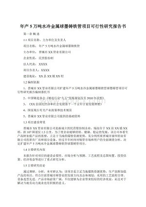 年产5万吨水冷金属球墨铸铁管项目可行性研究报告书文档格式.docx