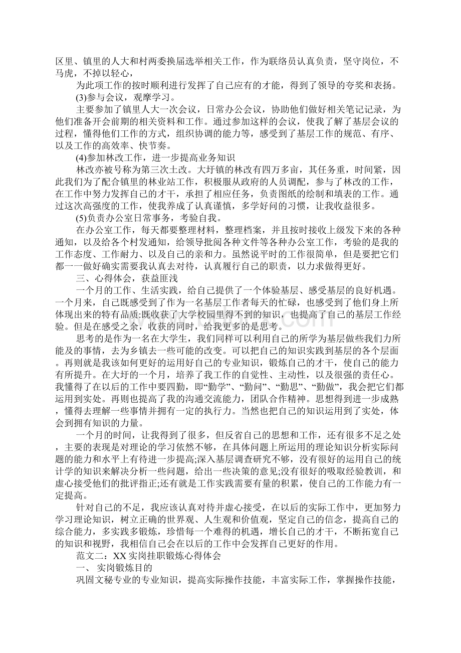 实岗挂职锻炼心得体会.docx_第2页