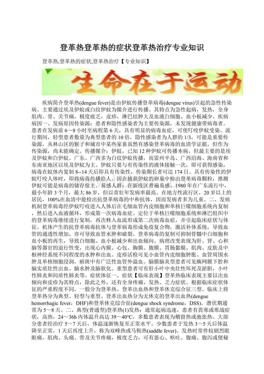 登革热登革热的症状登革热治疗专业知识.docx_第1页