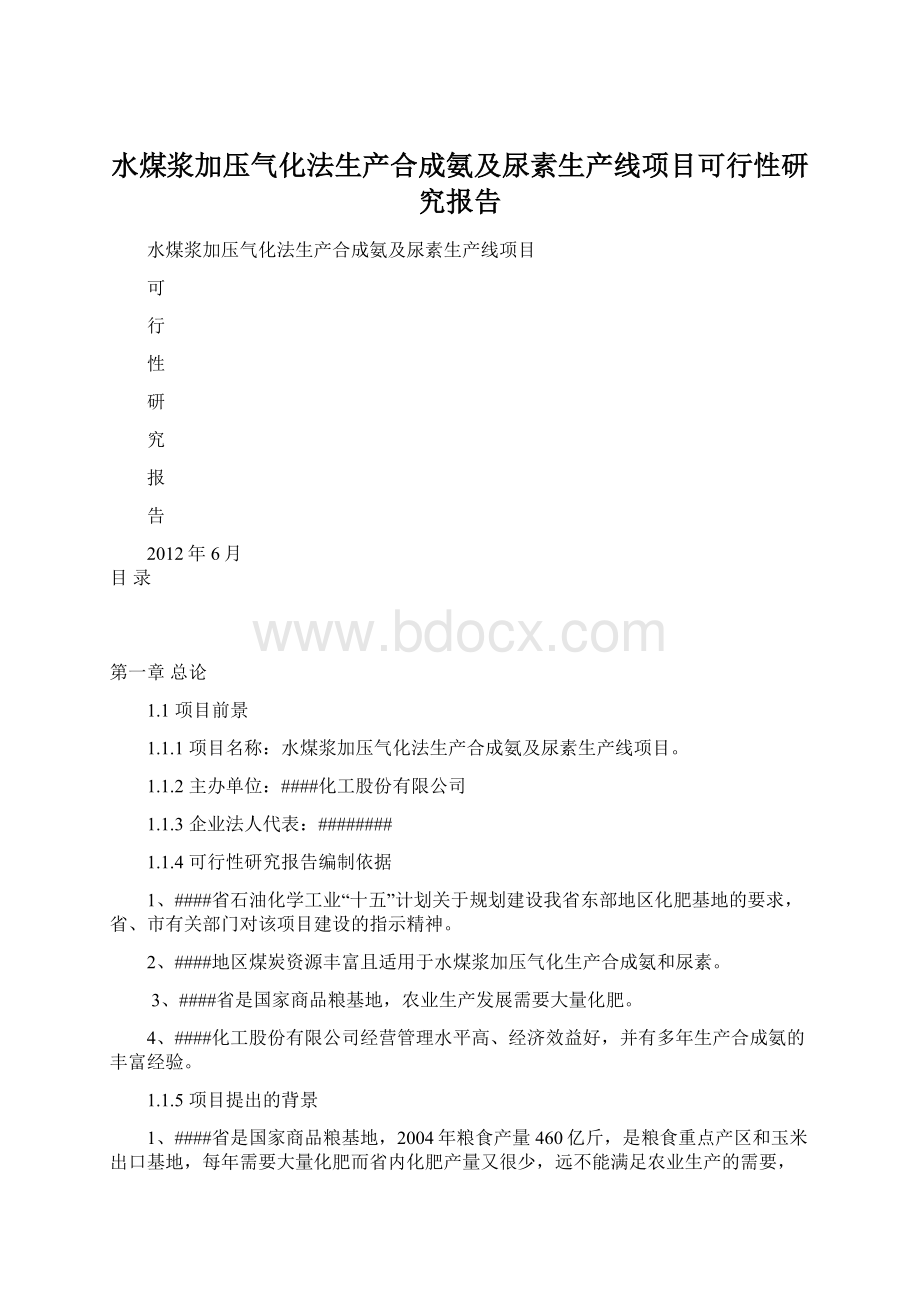 水煤浆加压气化法生产合成氨及尿素生产线项目可行性研究报告.docx_第1页