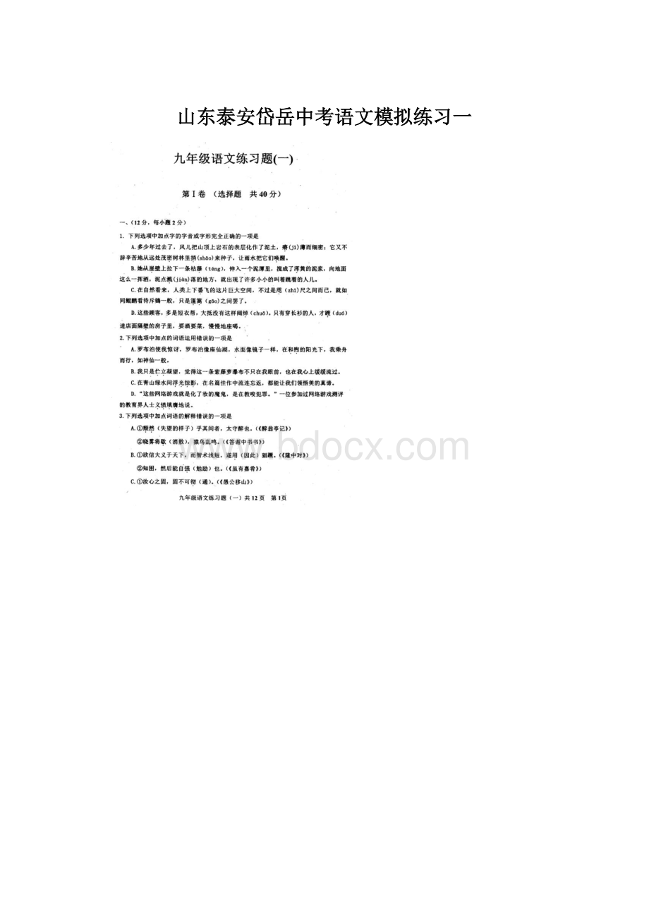 山东泰安岱岳中考语文模拟练习一.docx_第1页