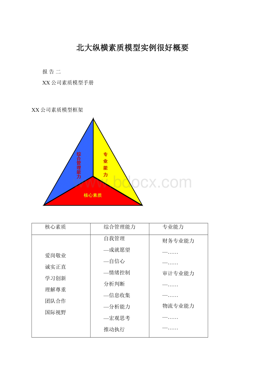 北大纵横素质模型实例很好概要.docx_第1页