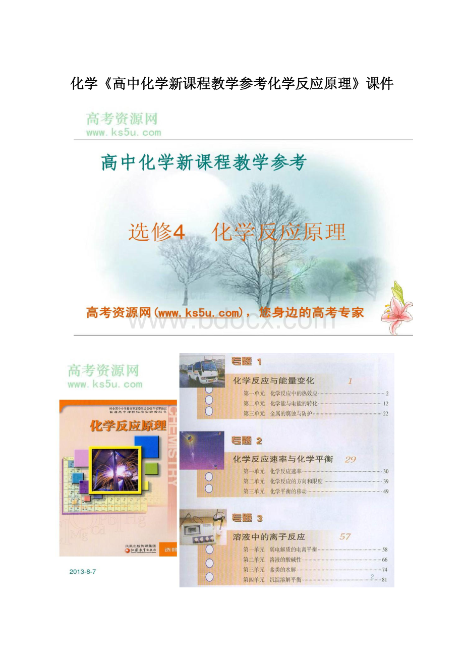 化学《高中化学新课程教学参考化学反应原理》课件Word下载.docx