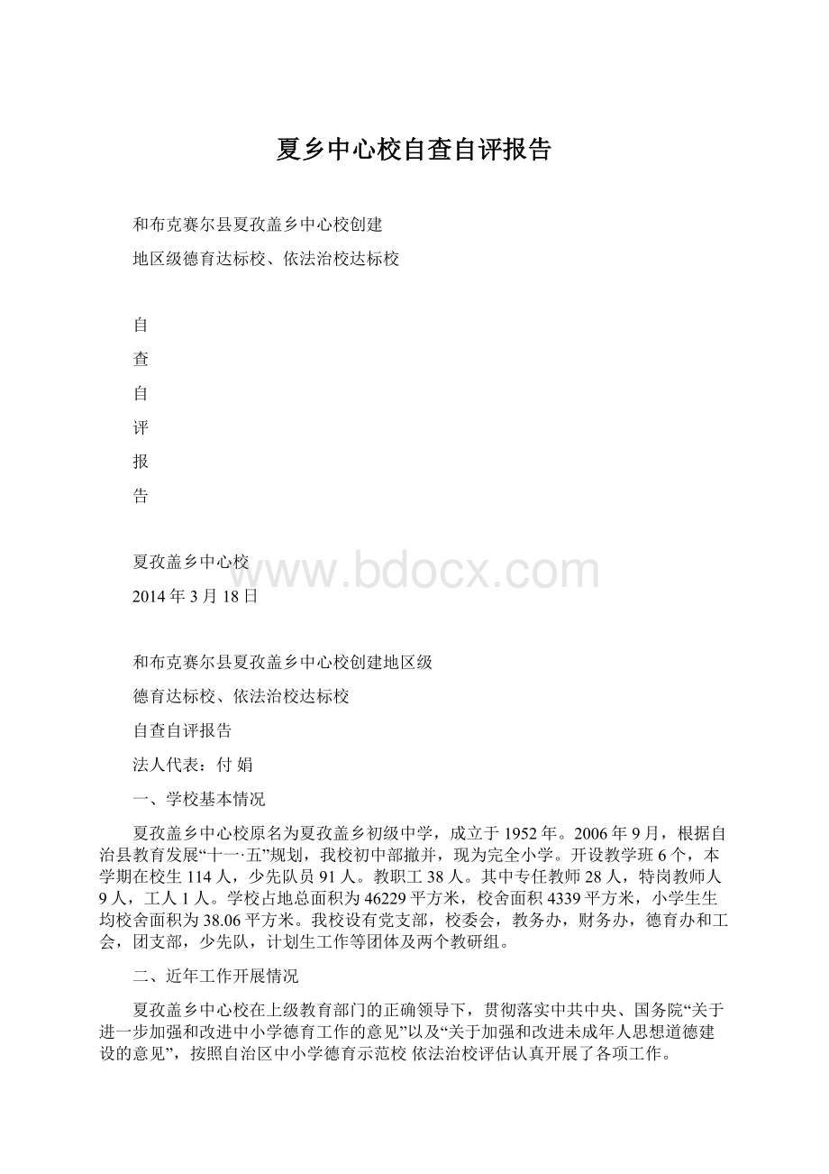 夏乡中心校自查自评报告Word下载.docx