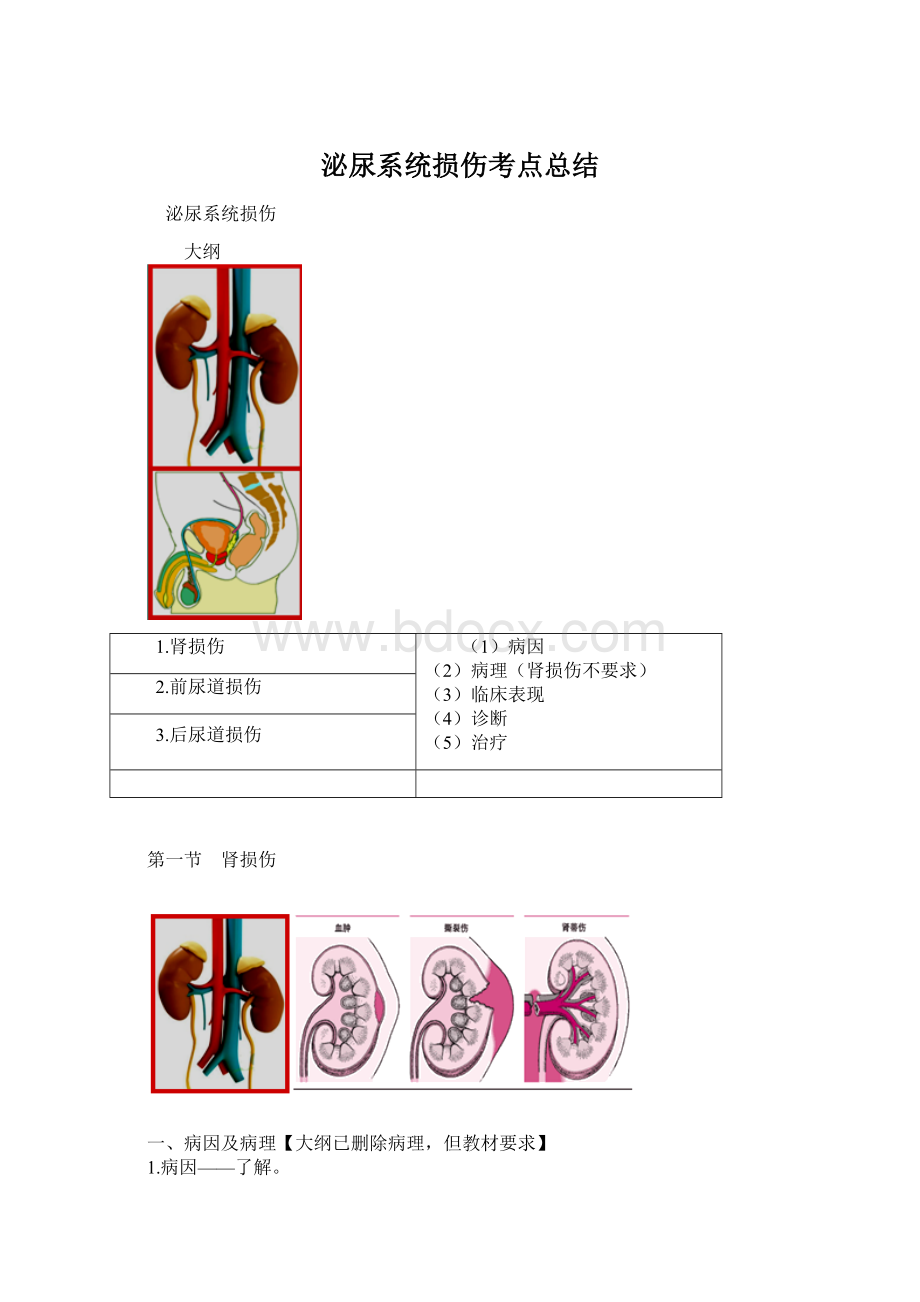 泌尿系统损伤考点总结Word文档下载推荐.docx_第1页