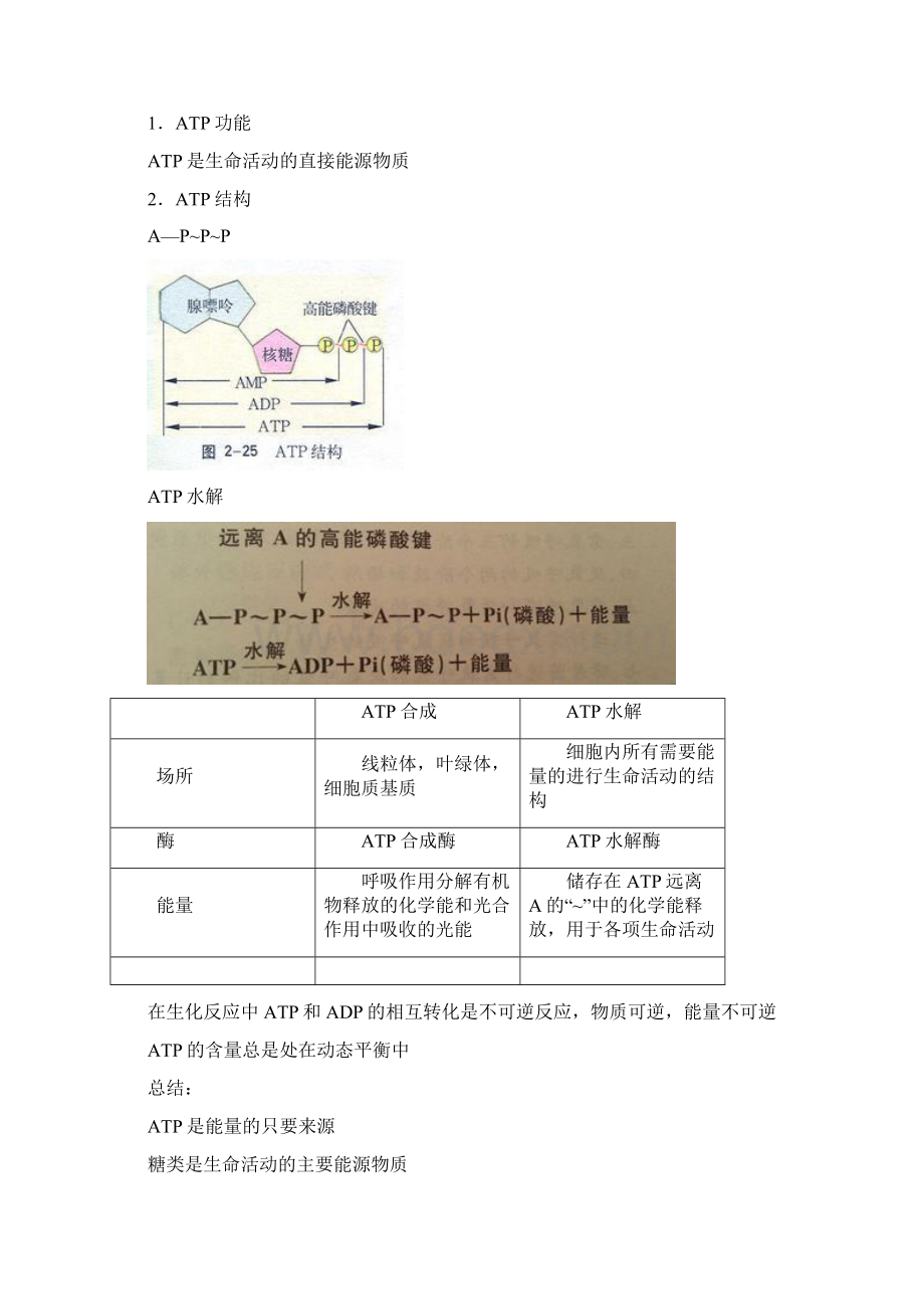 生物笔记.docx_第3页