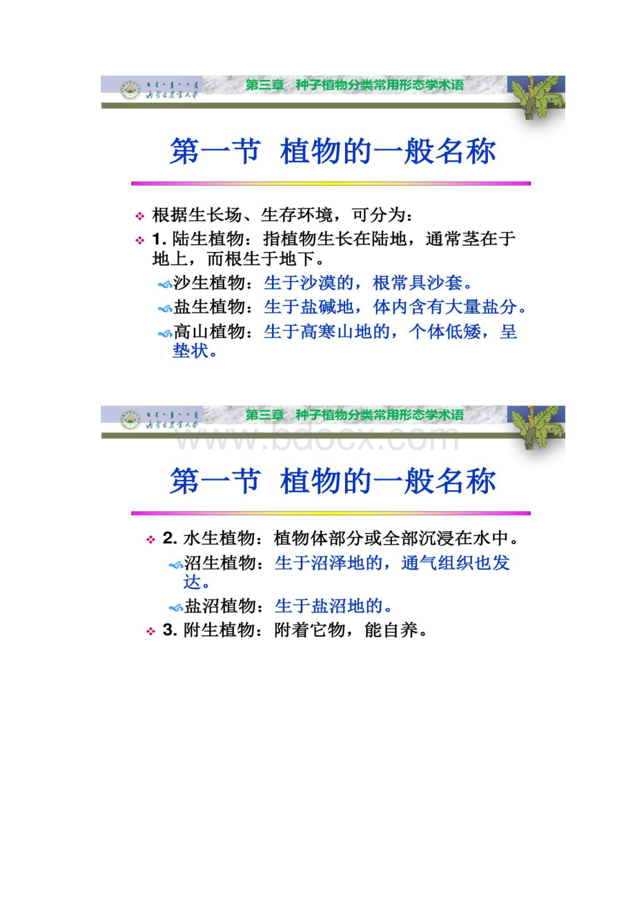 3 种子植物分类常用的形态学术语.docx_第2页