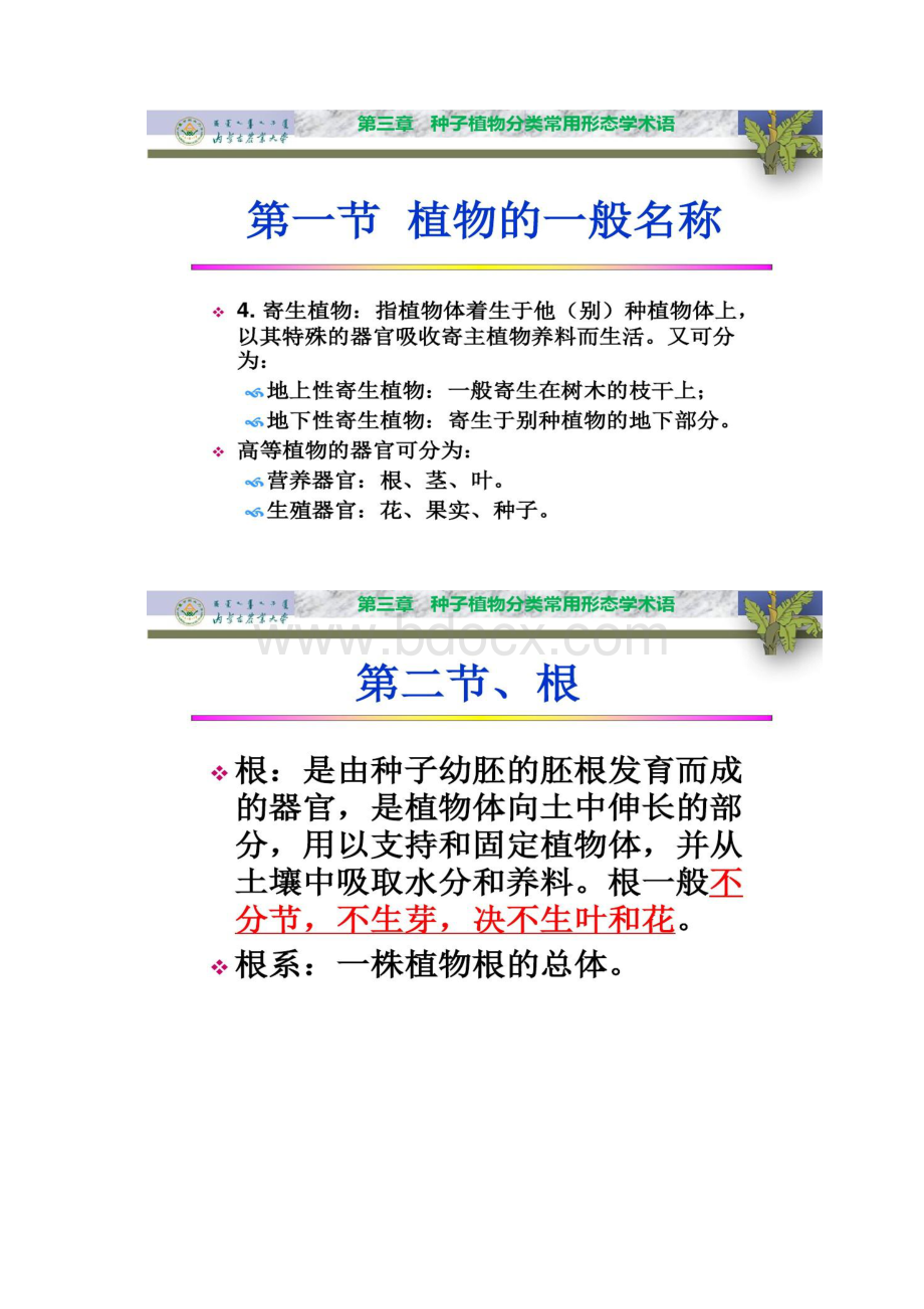 3 种子植物分类常用的形态学术语.docx_第3页