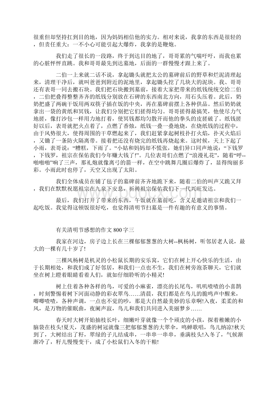 有关清明节感想的作文800字五篇.docx_第2页