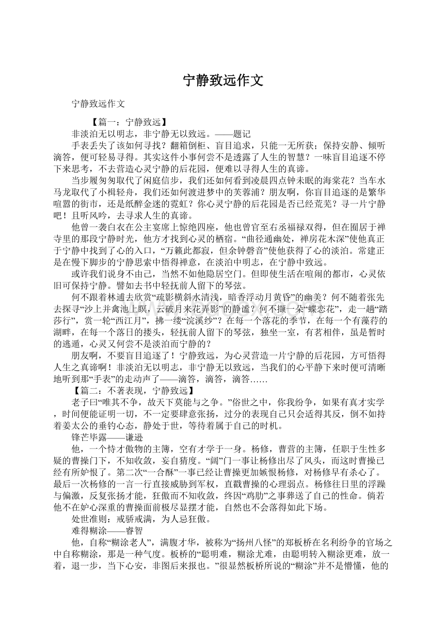 宁静致远作文Word文档格式.docx