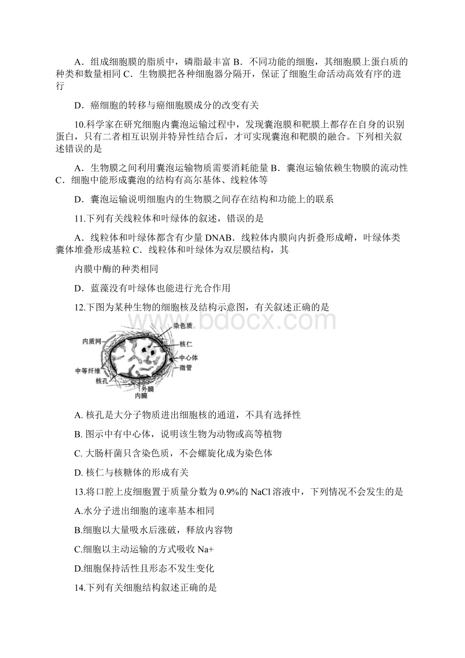 学年河北省定州中学高一承智班上学期第二次月考生物试题.docx_第3页