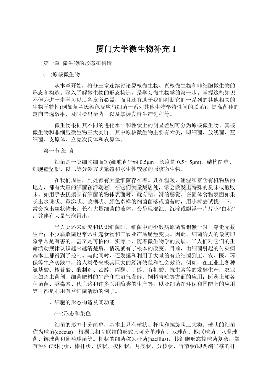 厦门大学微生物补充1Word文档格式.docx_第1页