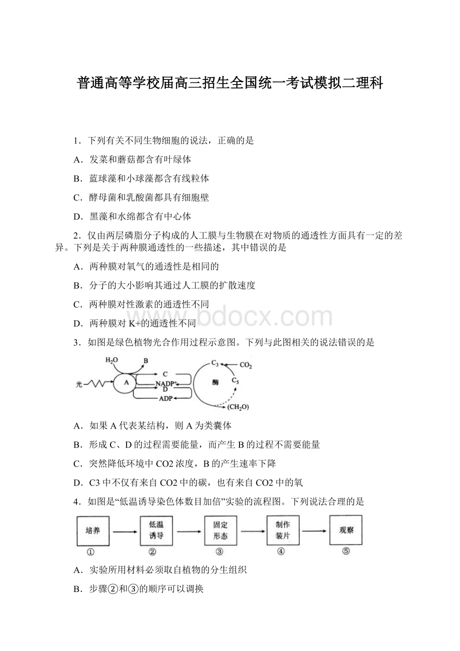 普通高等学校届高三招生全国统一考试模拟二理科Word文档格式.docx