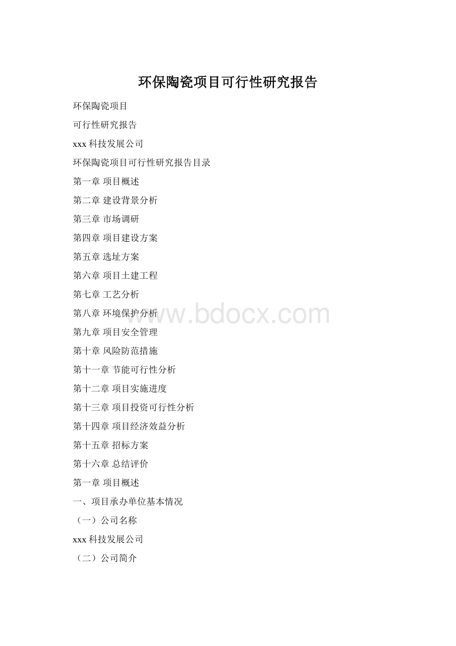 环保陶瓷项目可行性研究报告Word文档格式.docx