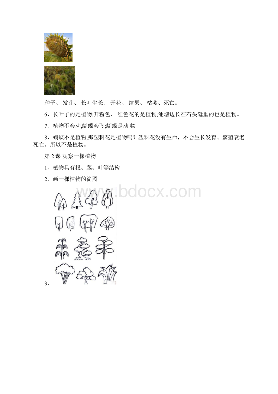 小学一年级科学期末复习资料文档格式.docx_第2页