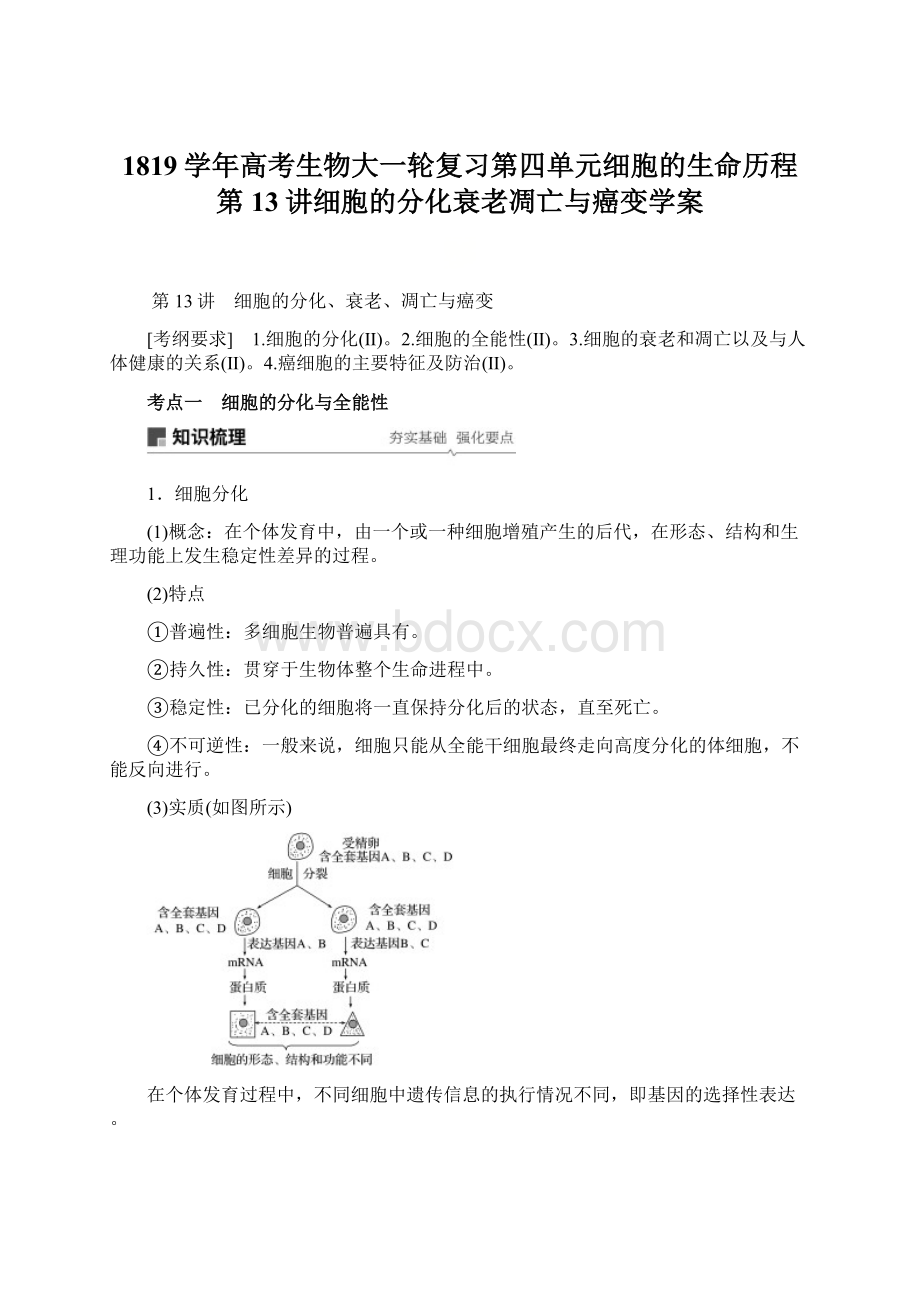 1819学年高考生物大一轮复习第四单元细胞的生命历程第13讲细胞的分化衰老凋亡与癌变学案.docx_第1页