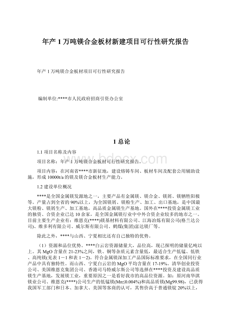 年产1万吨镁合金板材新建项目可行性研究报告.docx