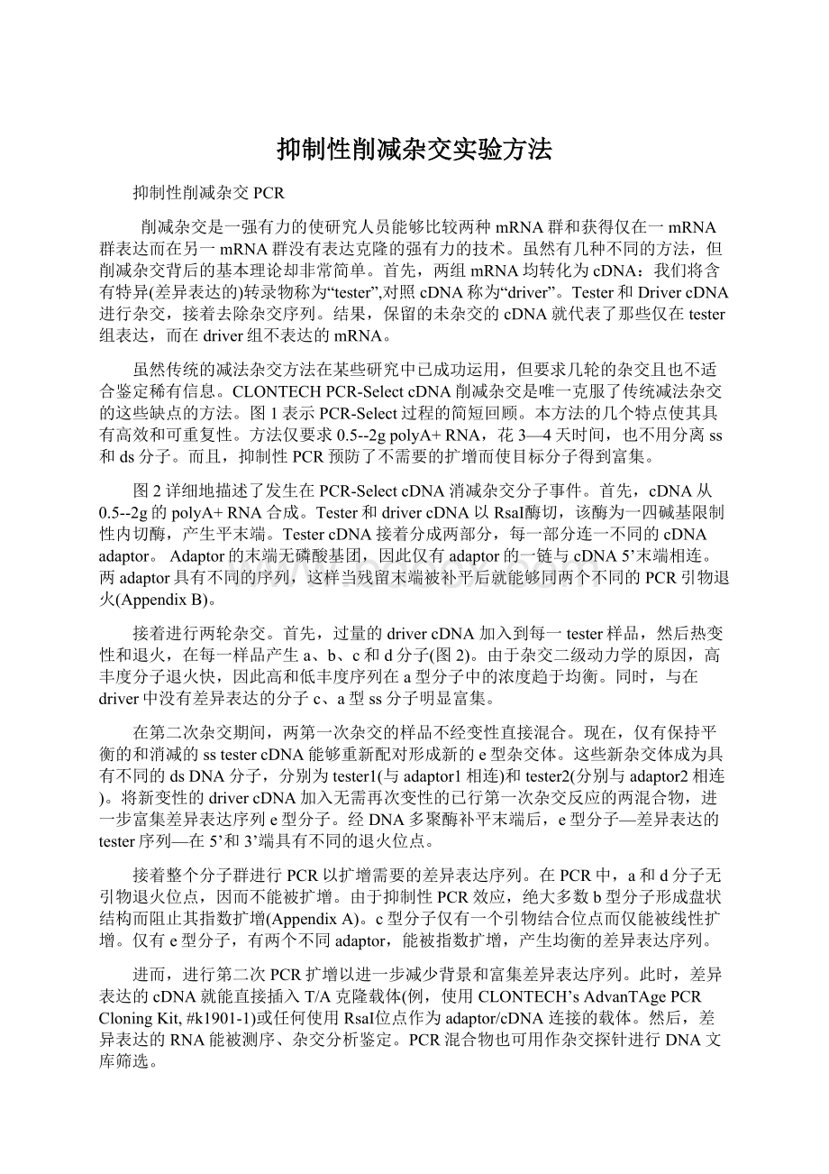 抑制性削减杂交实验方法.docx_第1页