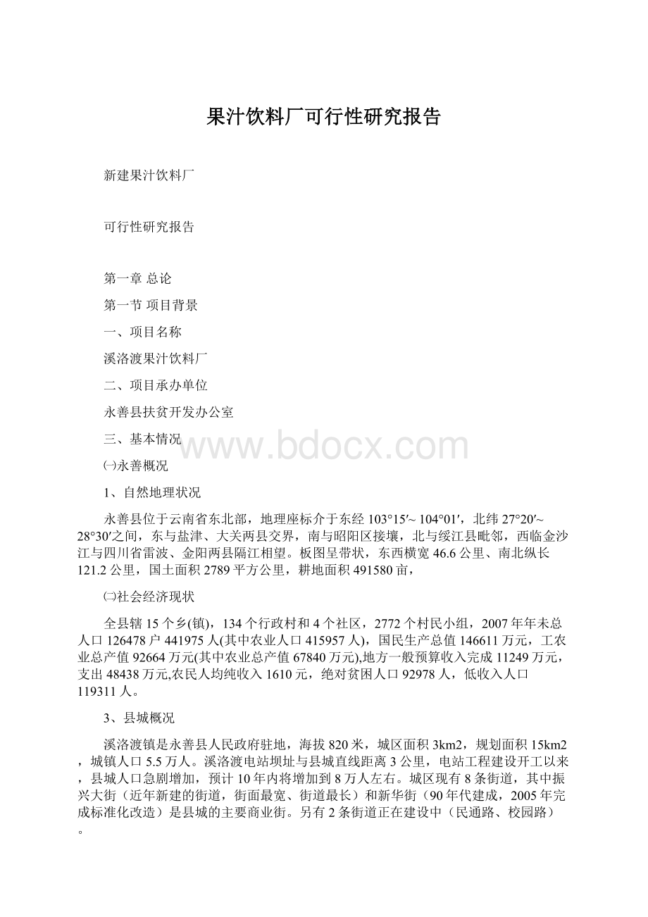 果汁饮料厂可行性研究报告.docx_第1页