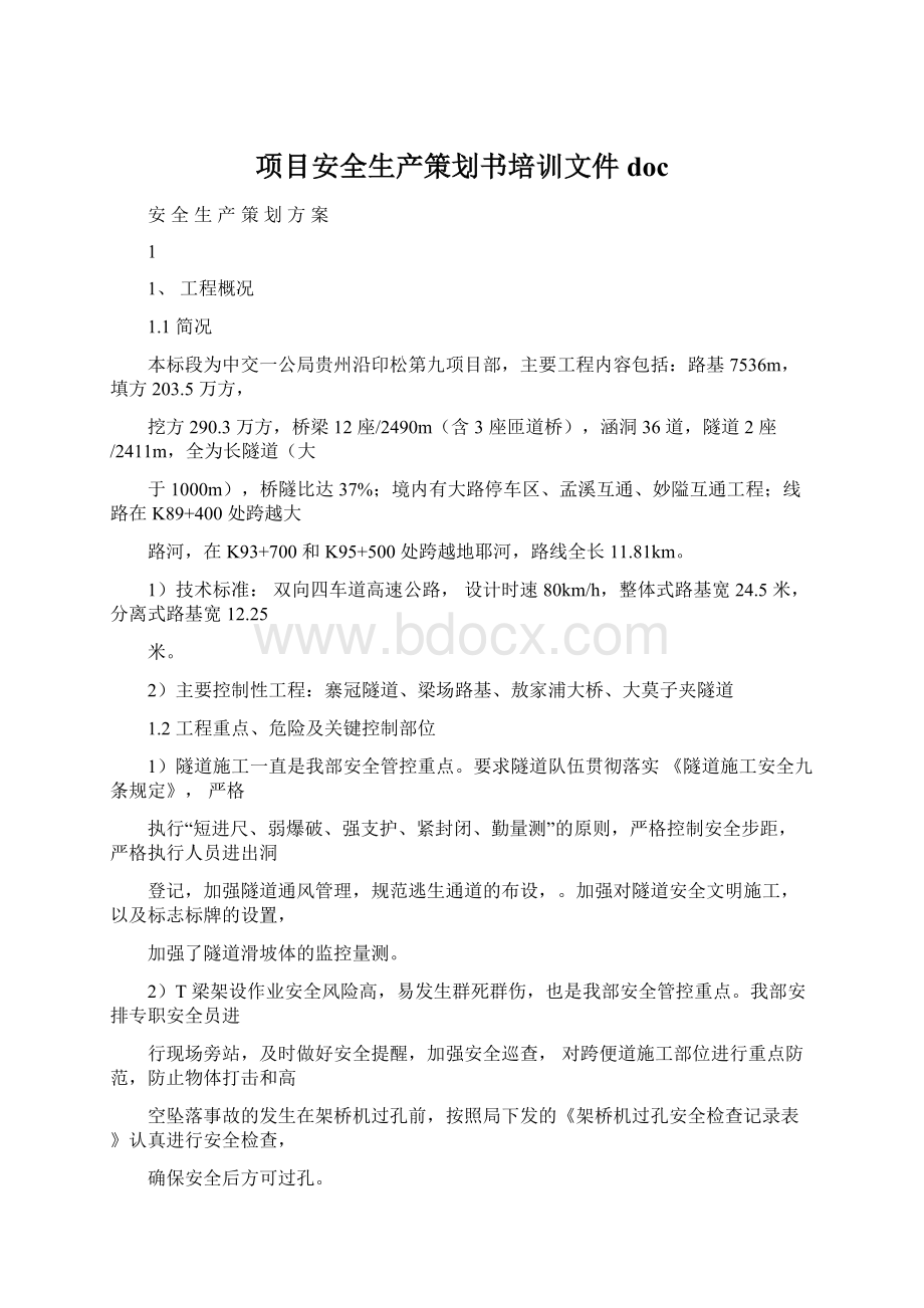 项目安全生产策划书培训文件doc.docx_第1页