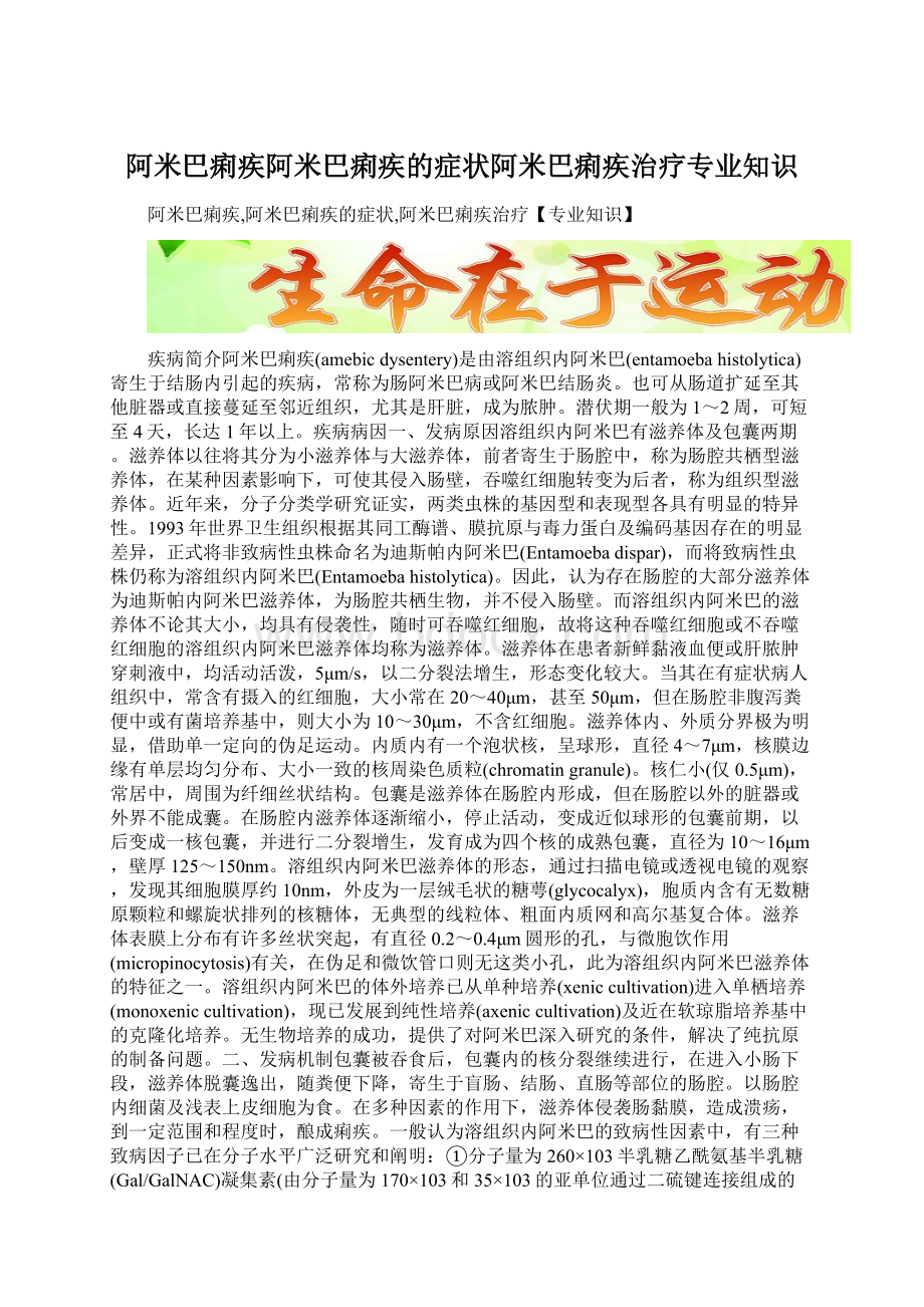 阿米巴痢疾阿米巴痢疾的症状阿米巴痢疾治疗专业知识.docx