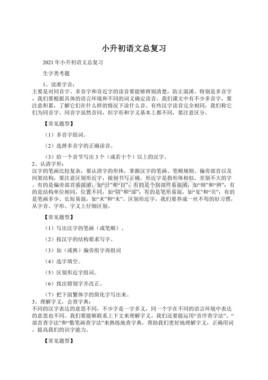 小升初语文总复习Word文档格式.docx