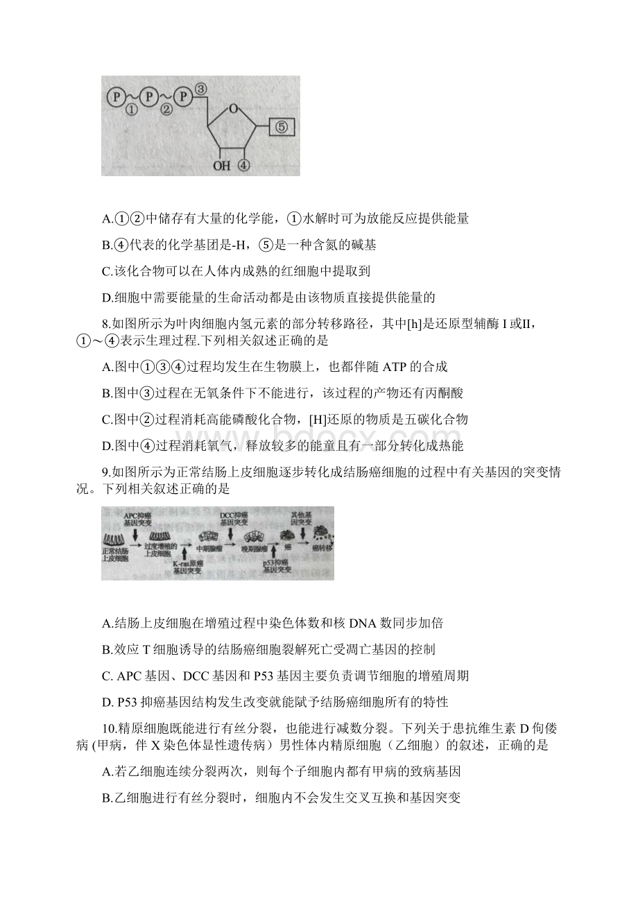 湖南省益阳市届高三上学期期末考试 生物 Word版含答案Word文档下载推荐.docx_第3页