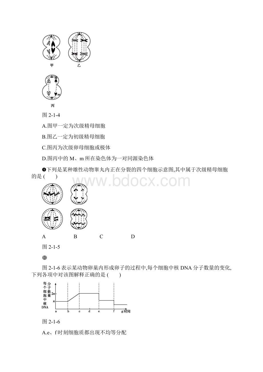 高中生物第2章第1节减数分裂和受精作用第1课时减数分裂的过程作业本无答案新人教版.docx_第3页