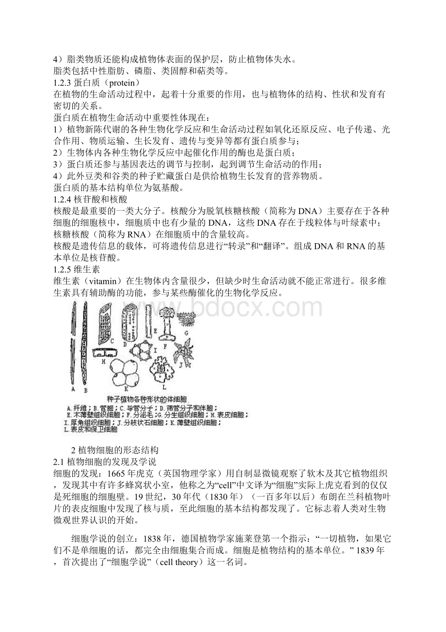 新版大学生植物学.docx_第3页