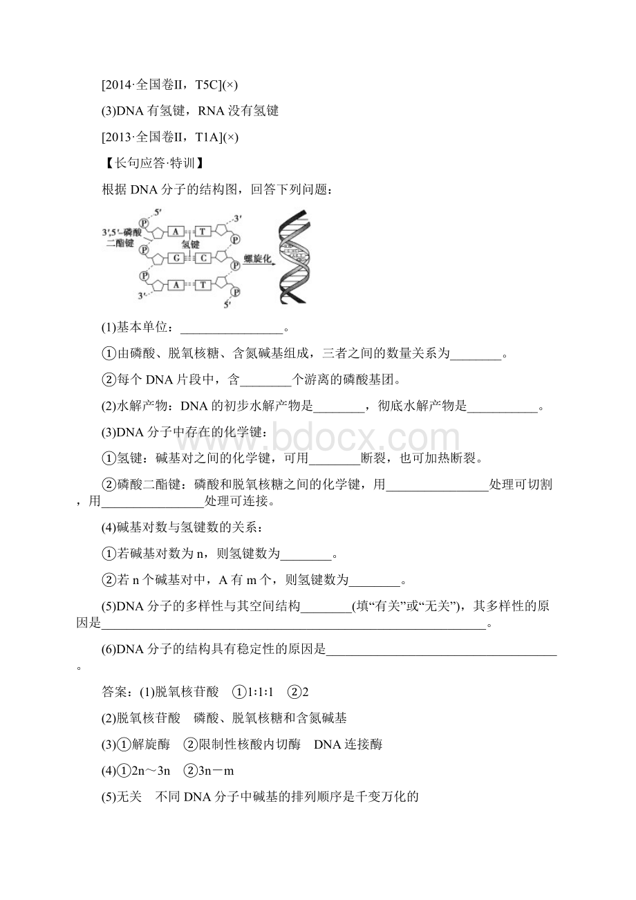 版新高考生物 第六单元 遗传的物质基础 第18讲 DNA分子的结构复制及基因的本质学案 新人教版doc文档格式.docx_第3页