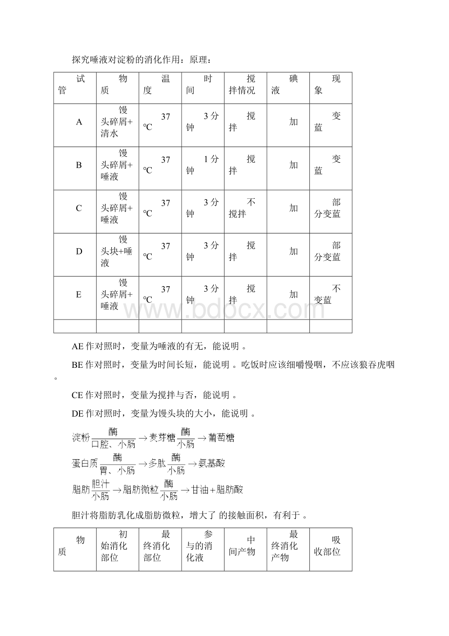 生物中考必背基础知识七年级下册不带答案文档格式.docx_第3页