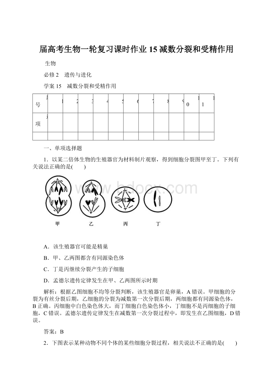 届高考生物一轮复习课时作业15减数分裂和受精作用文档格式.docx