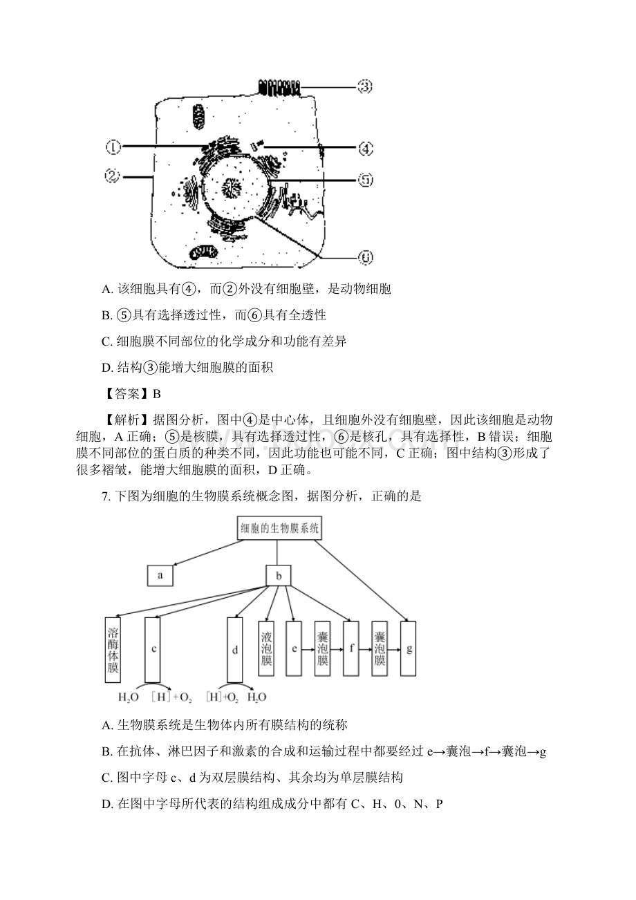 湖北省稳派教育届高三阶段性检测生物精校解析Word版Word文档下载推荐.docx_第3页