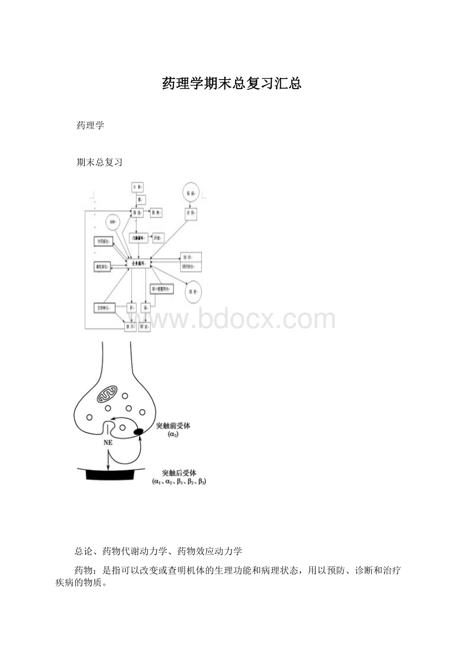 药理学期末总复习汇总.docx