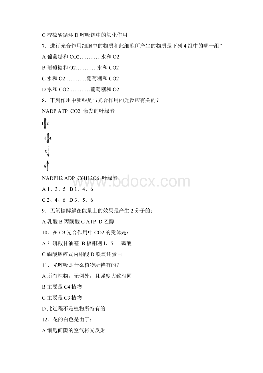 全国中学生生物学竞赛模拟考试题3及解析Word文档格式.docx_第2页