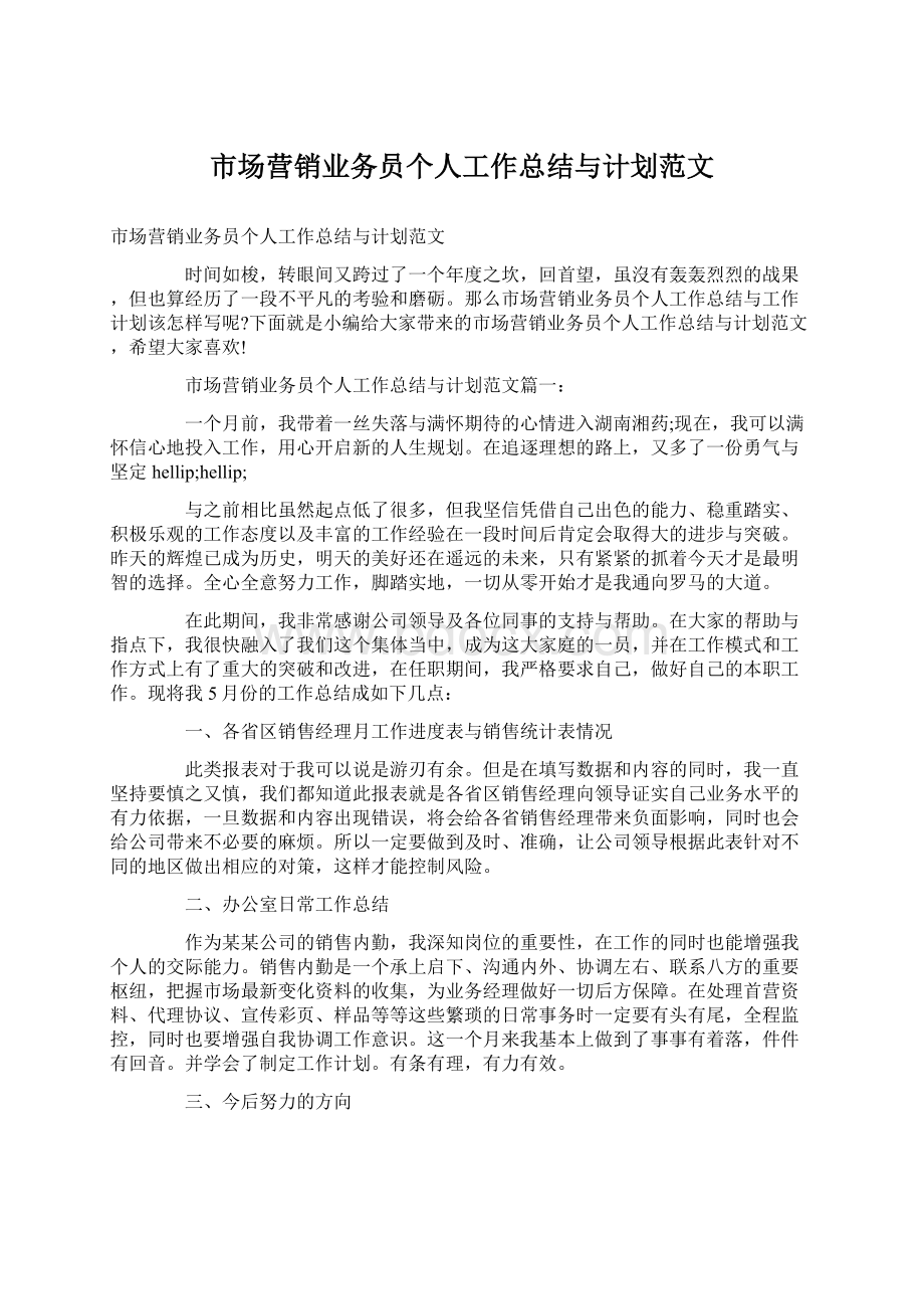 市场营销业务员个人工作总结与计划范文.docx