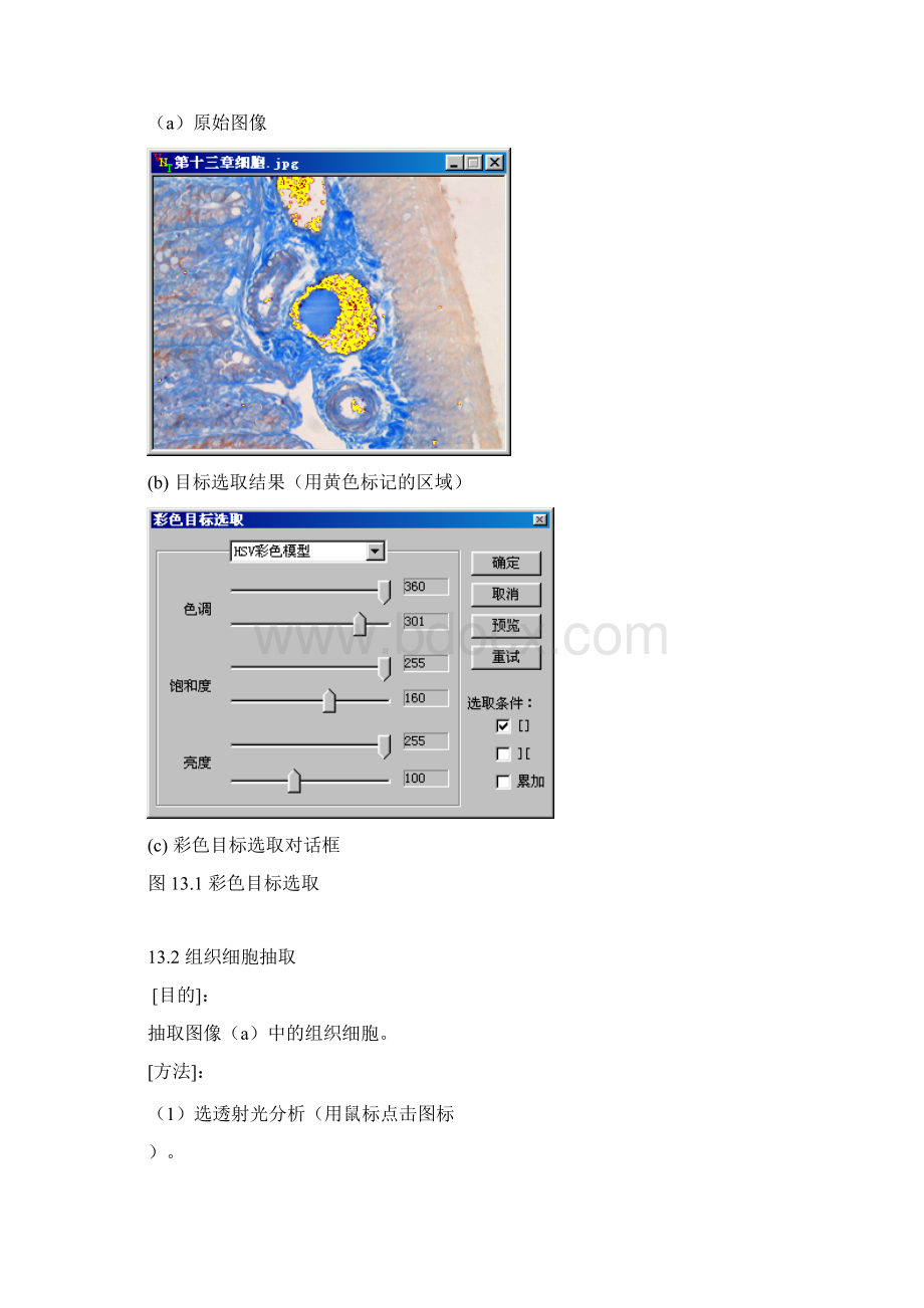 SuperImage影像分析仪使用手册第十三章 图象处理与分析实例.docx_第2页