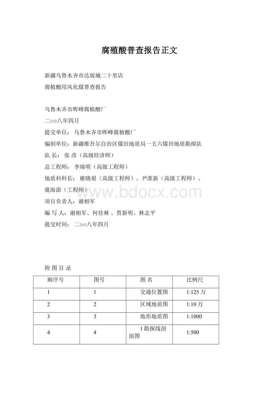 腐殖酸普查报告正文文档格式.docx