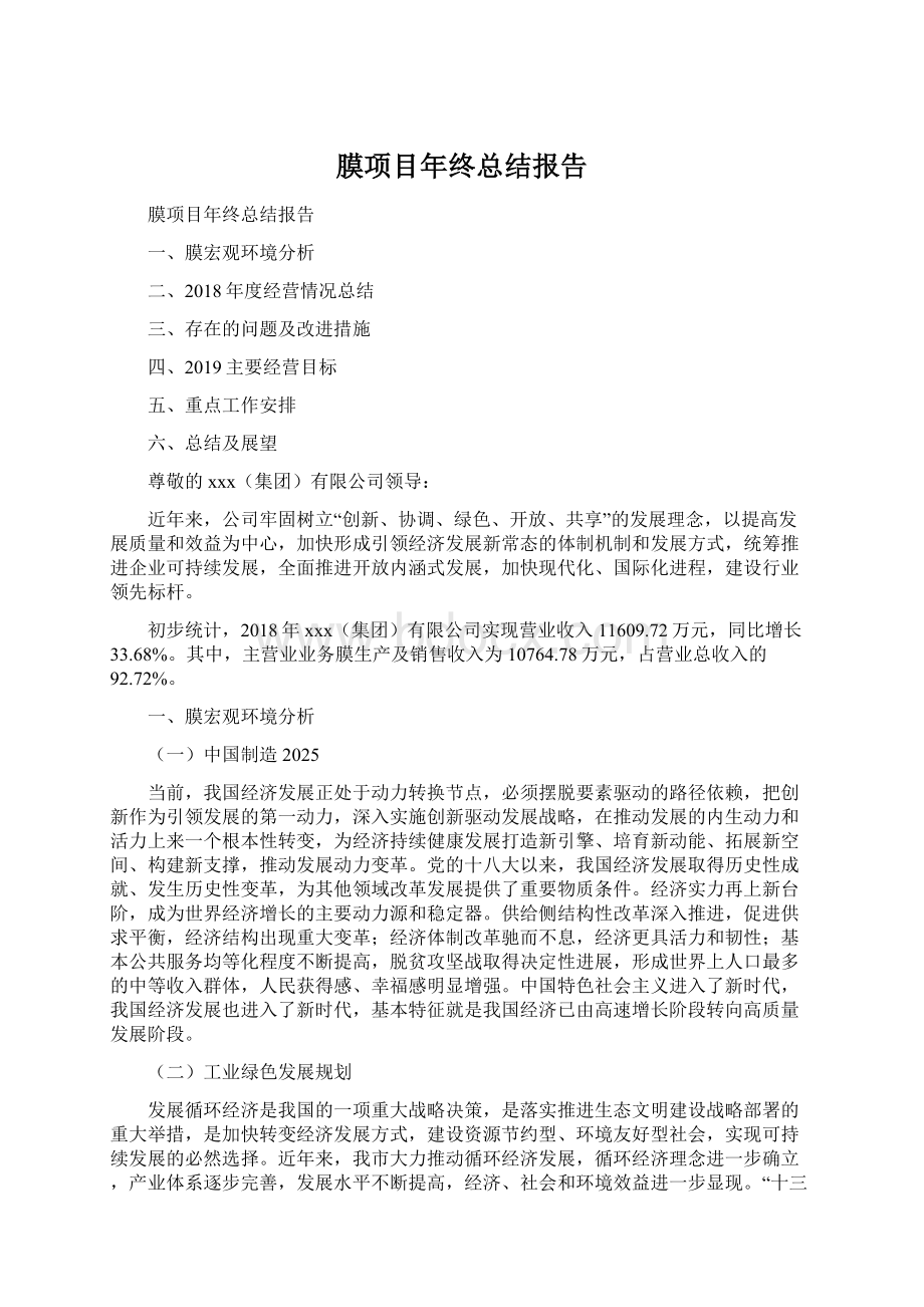 膜项目年终总结报告.docx_第1页