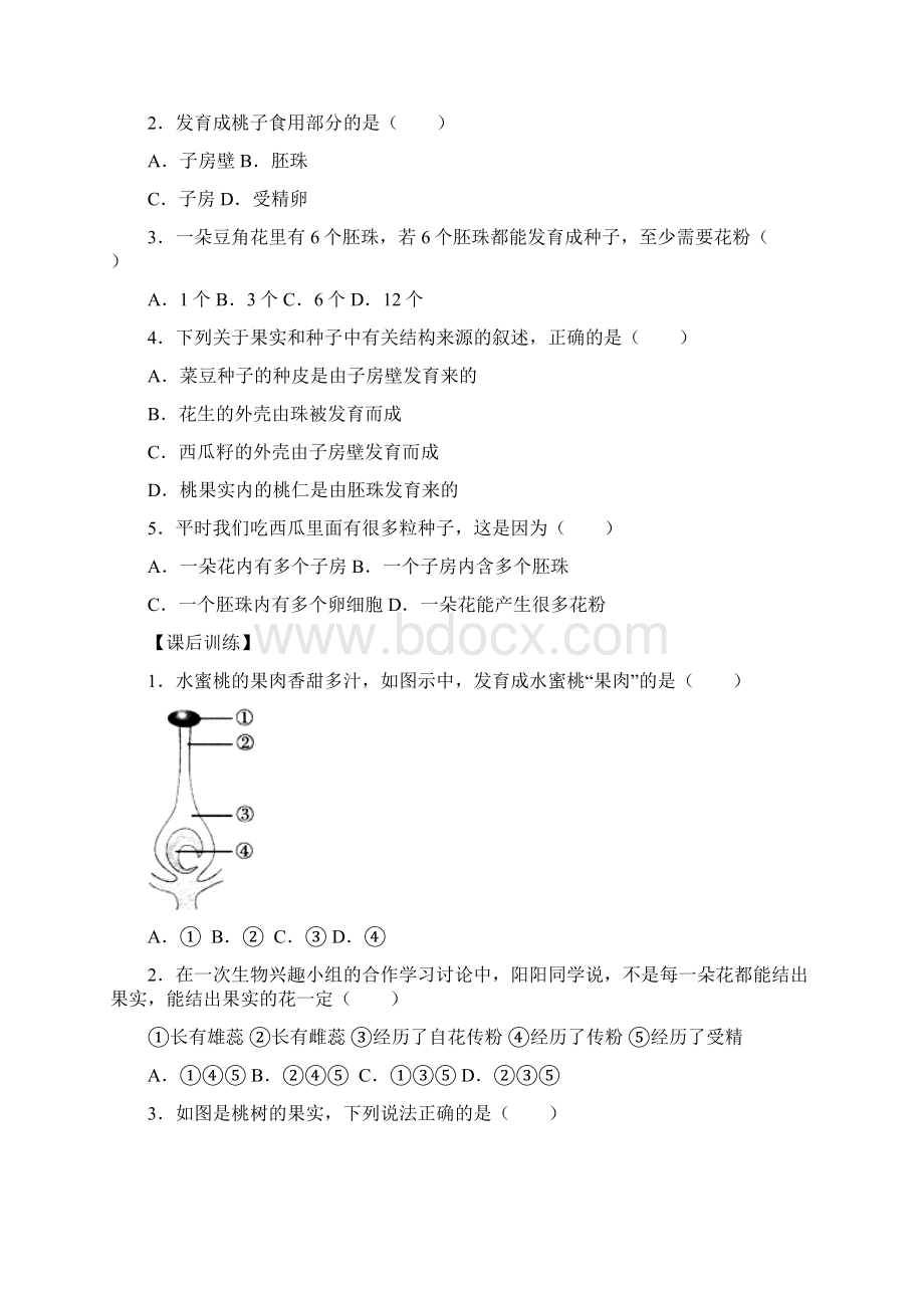 人教版生物7上《开花和结果》作业设计 2Word格式.docx_第3页