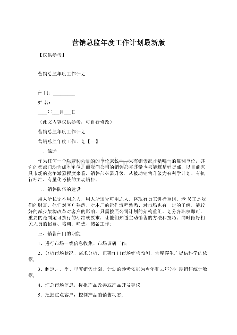 营销总监年度工作计划最新版Word文档下载推荐.docx