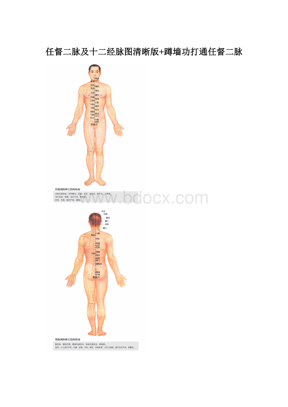 任督二脉及十二经脉图清晰版+蹲墙功打通任督二脉Word文档格式.docx