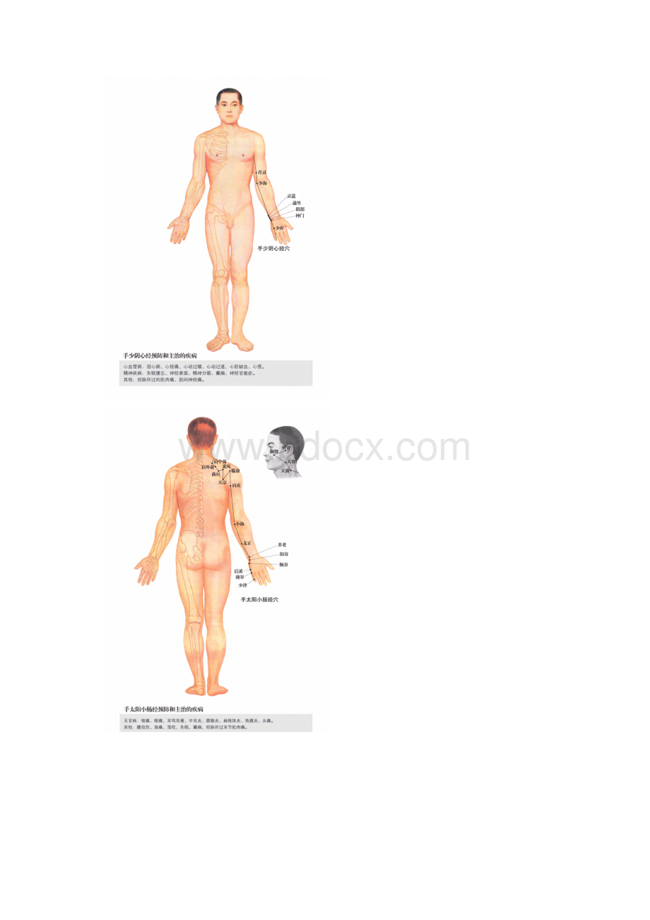 任督二脉及十二经脉图清晰版+蹲墙功打通任督二脉.docx_第3页