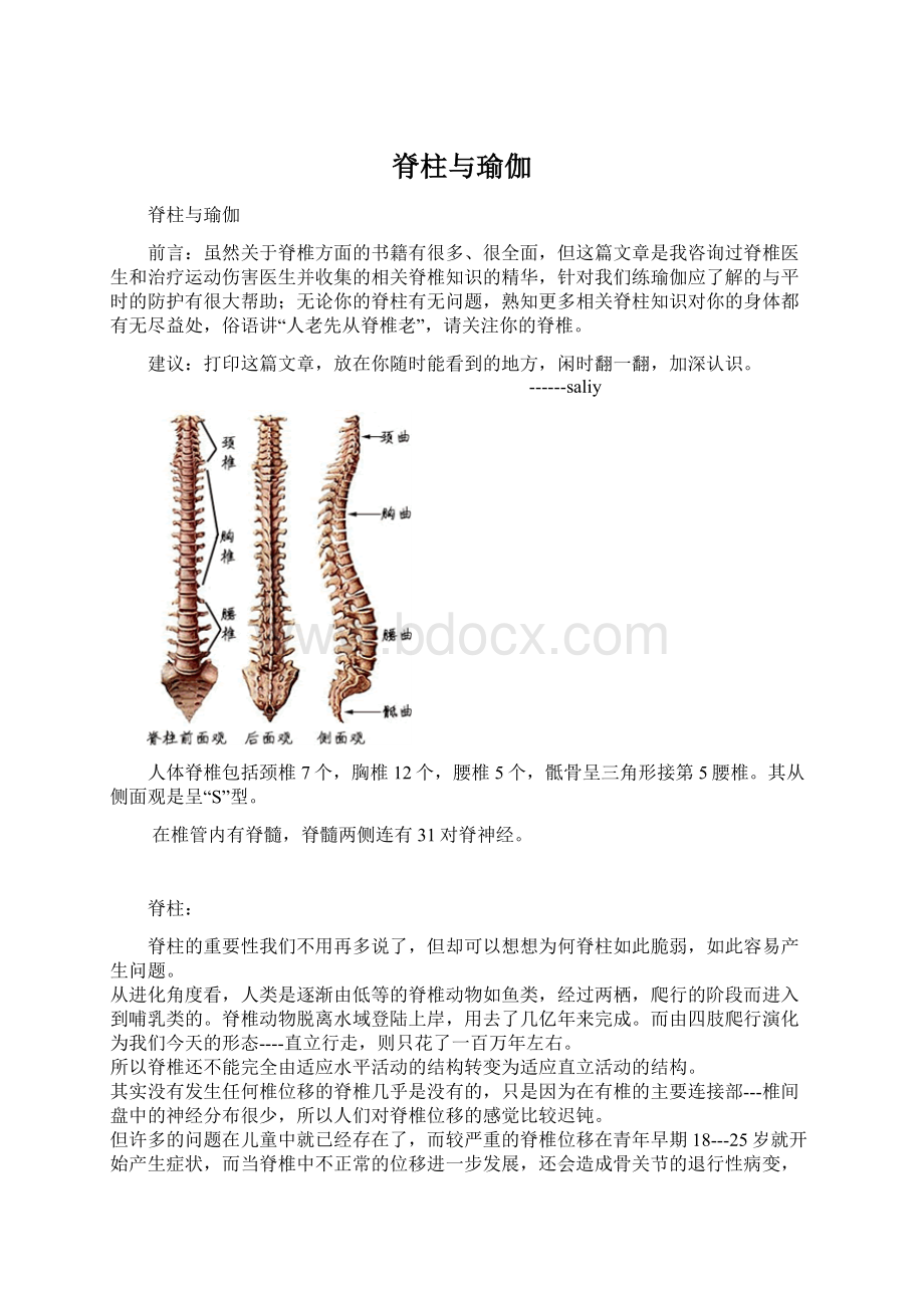 脊柱与瑜伽Word文档下载推荐.docx