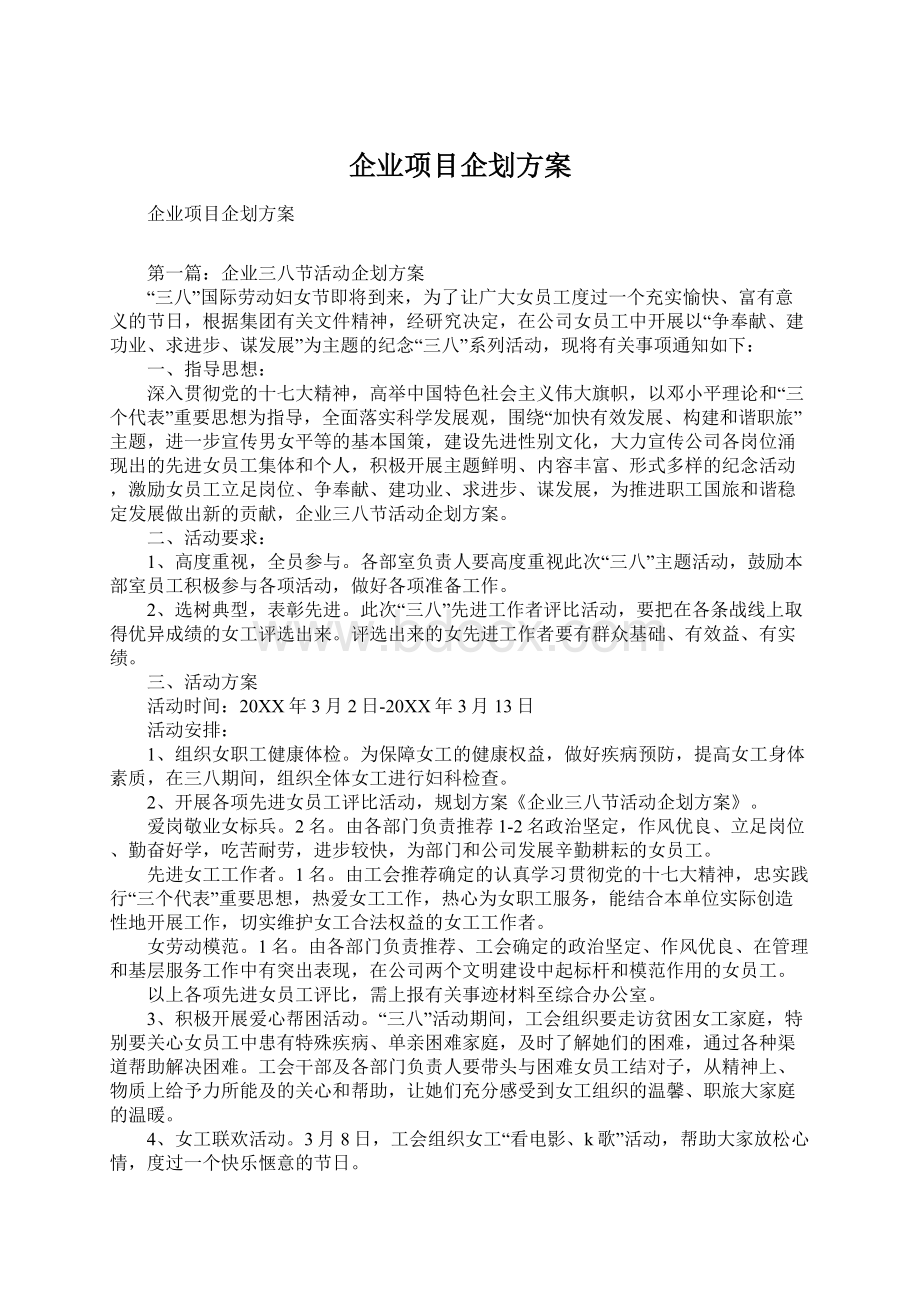 企业项目企划方案.docx