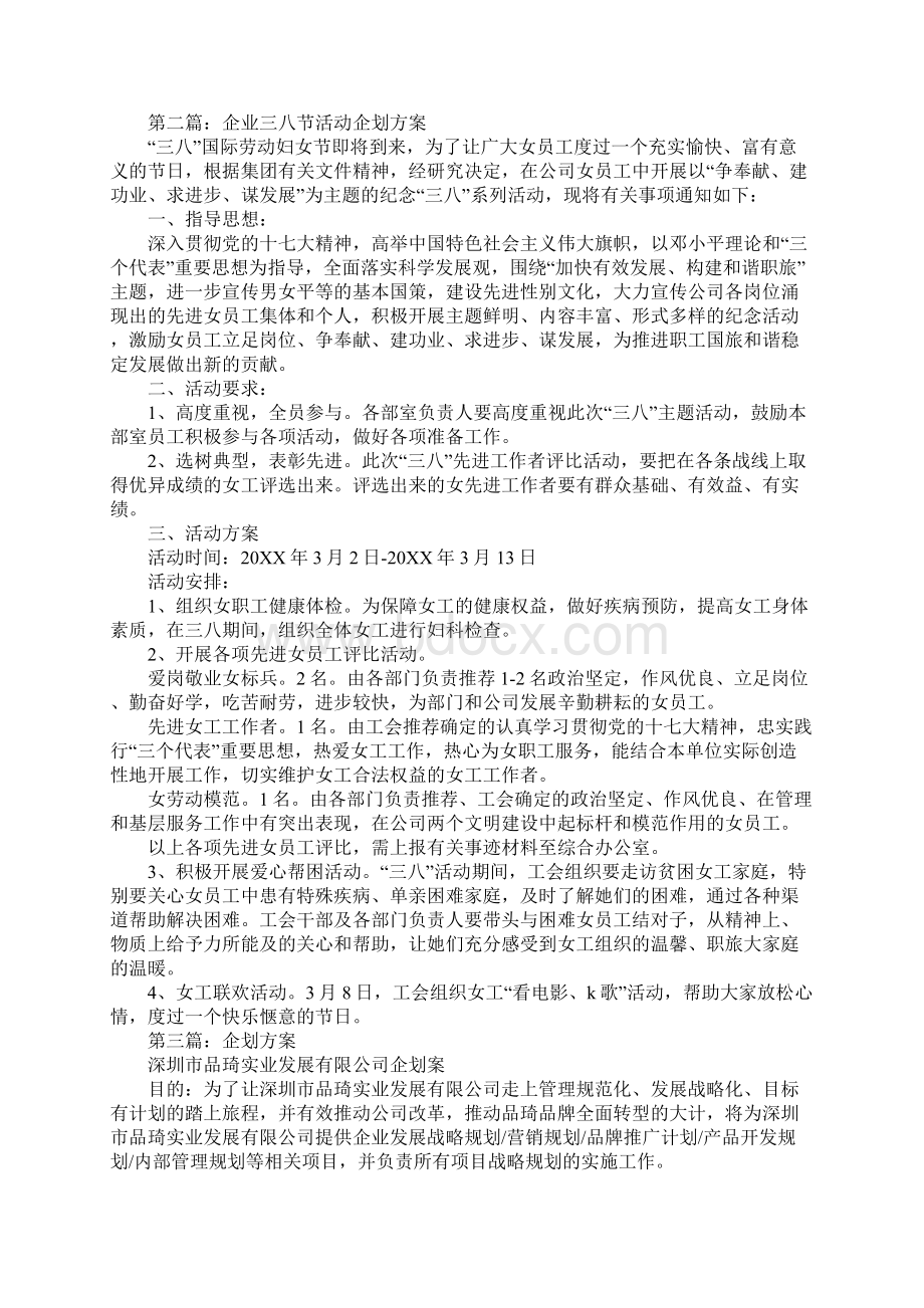 企业项目企划方案.docx_第2页