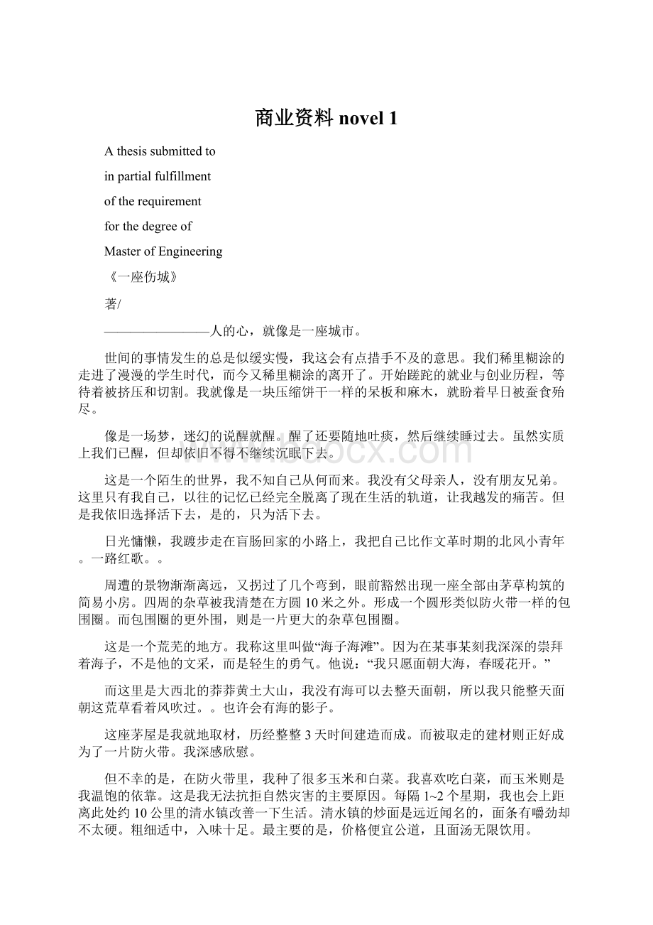 商业资料novel 1Word格式文档下载.docx