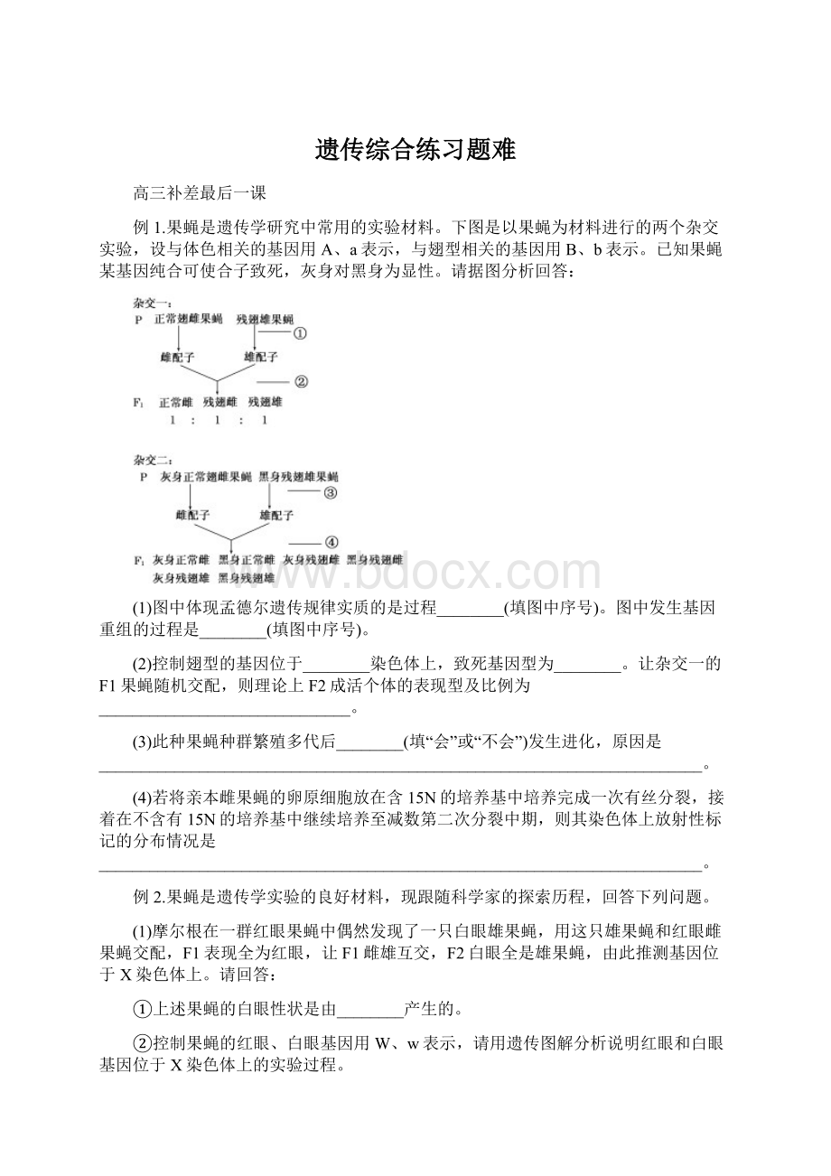 遗传综合练习题难.docx_第1页